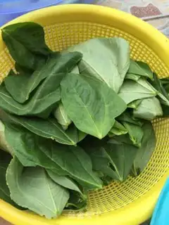 Make Home battle tea step 2