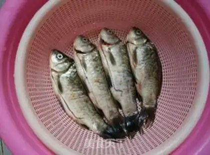 Make Red-burned mackerel step 0