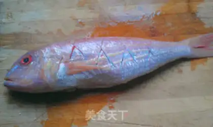 Make A red shirt fish step 0