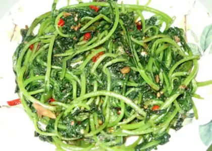 Make Sodium artery step 5