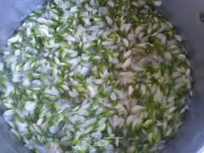 Make The dumplings step 0