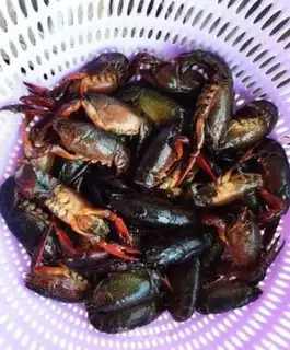 Make Spicy lobster step 0