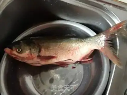 Make Aqueous fish step 0