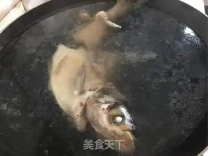 Make Aqueous fish step 5