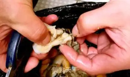 Make Birdfish dumplings step 1