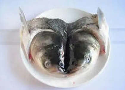 Make Pillfish head in the private room step 0