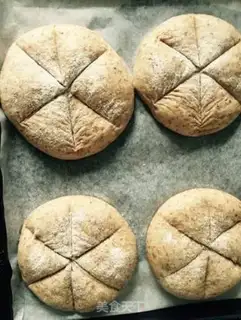Make A healthy and delicious black bread step 7