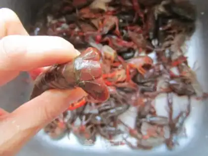 Make Spicy lobster step 1
