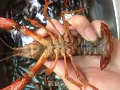 Make Spicy beer, lobster step 0