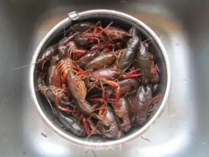 Make Spicy lobster step 3