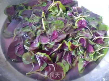 Make Olive oil blend step 1
