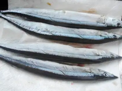 Make Swordfish step 2