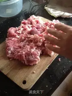 Make Pork dumplings step 0