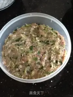Make Pork dumplings step 3