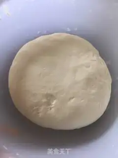Make Pork dumplings step 5