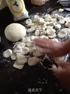 Make Pork dumplings step 7
