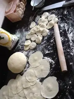 Make Pork dumplings step 9