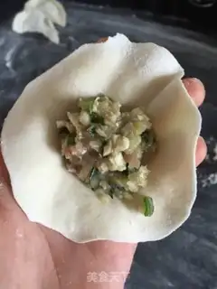 Make Pork dumplings step 10