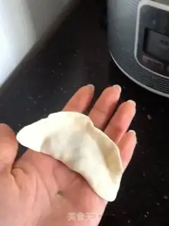 Make Pork dumplings step 11