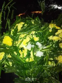 Make Scrambled eggs step 5