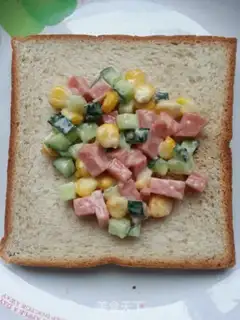 Make Bag salad sandwich step 4