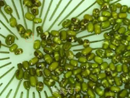 Make Green bean sprouts step 5