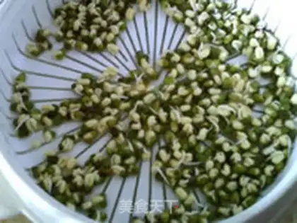Make Green bean sprouts step 6
