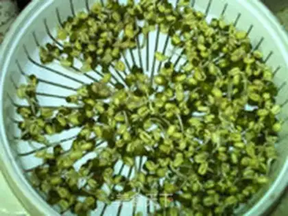 Make Green bean sprouts step 7