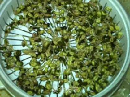 Make Green bean sprouts step 10