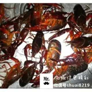 Make Spicy lobster step 0