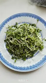 Make The radish sprouts step 1