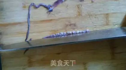 Make Squid