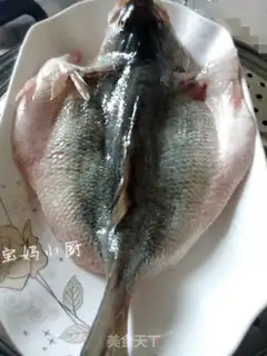 Make Vacuate herring step 5