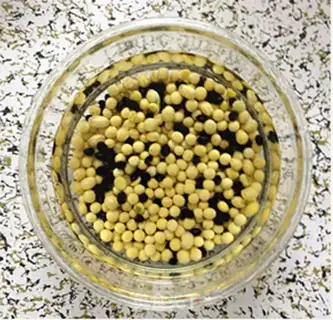 Make Black bean mashed Qia seed oats step 0