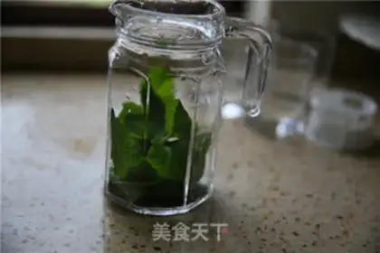 Make Iced honey mint tea step 0