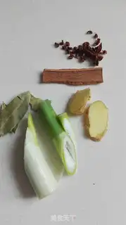 Make The Western Red Ox step 4