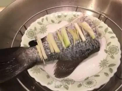 Make Steam fish step 2