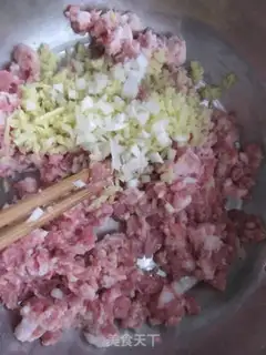 Make Pork dumplings step 2
