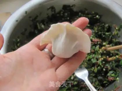 Make Pork dumplings step 9