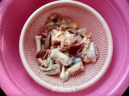 Make Homemade chickens step 0