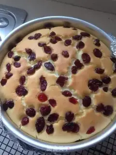 Make Cranberry yogurt step 5