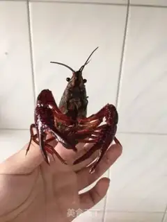 Make Thirteen fragrance lobster step 1