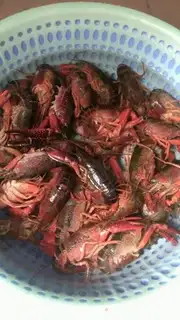 Make Shrimp step 0