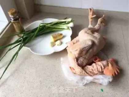 Make White pheasant step 3