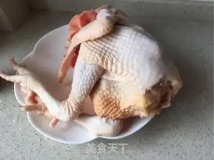 Make White pheasant step 6