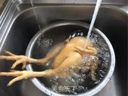 Make White pheasant step 9