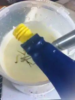 Make Brahma yogurt ice cream step 5