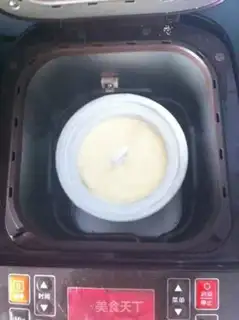 Make Brahma yogurt ice cream step 8