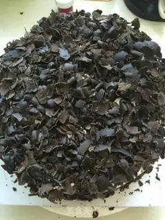 Make Black forest only step 10