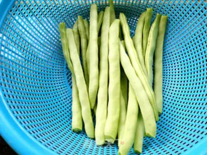 Make Three flowers with beans step 0